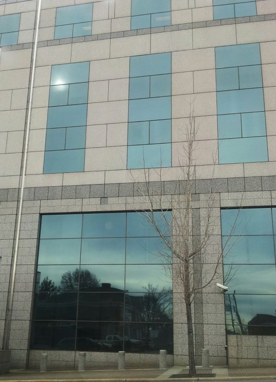 Federal Building Reflections