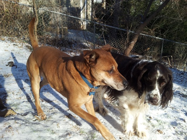 From One Thing to Another