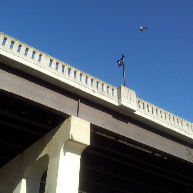 Fun With Winter and initials