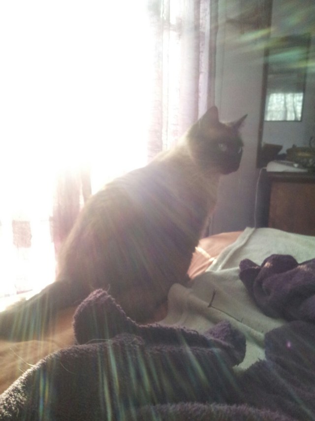 IMG_20140413_075444.jpg image