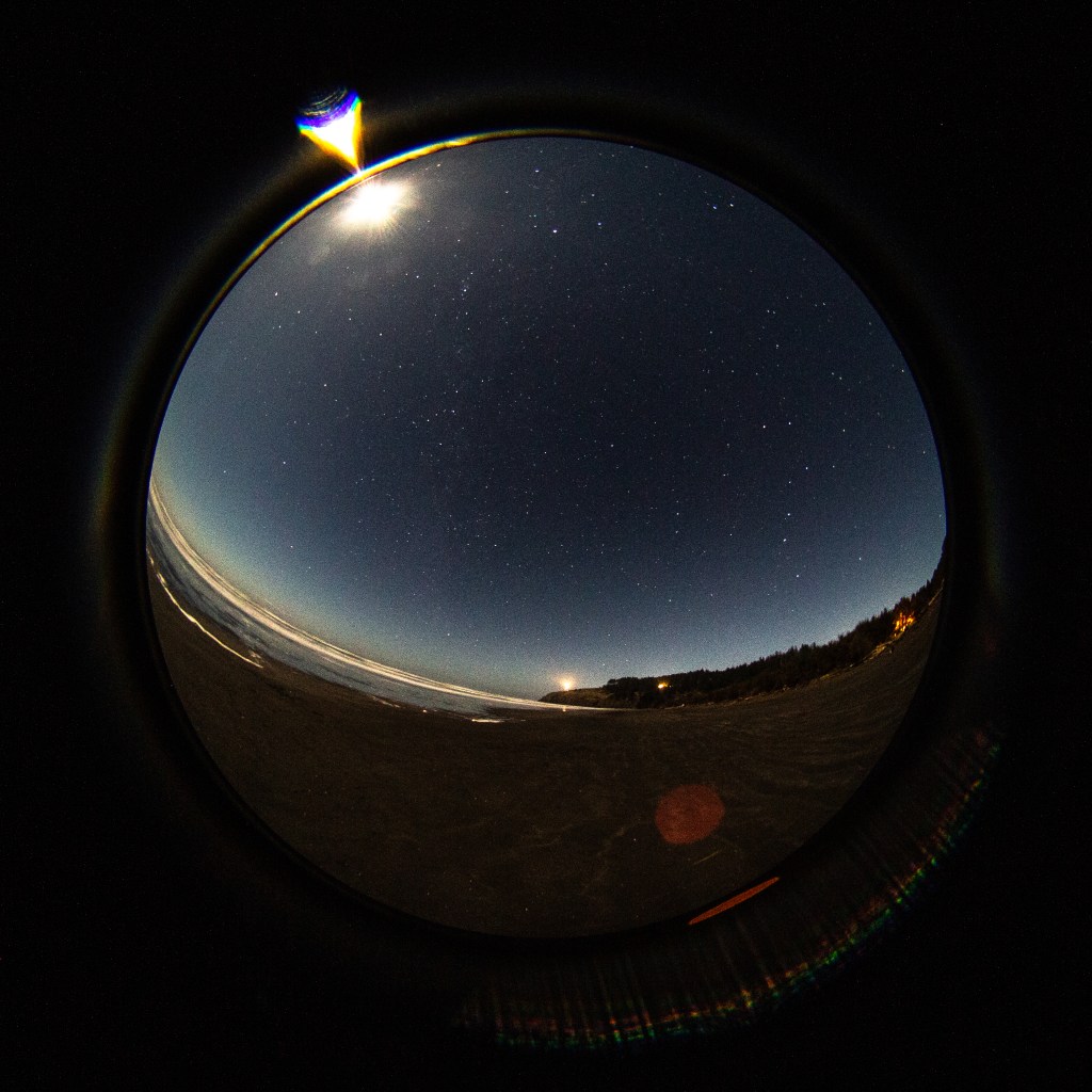 fisheye photograph of the beach and starry sky at night