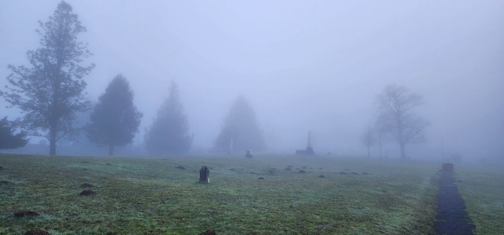 a photograph of a foggy and mysterious looking graveyard with pine trees in the distance