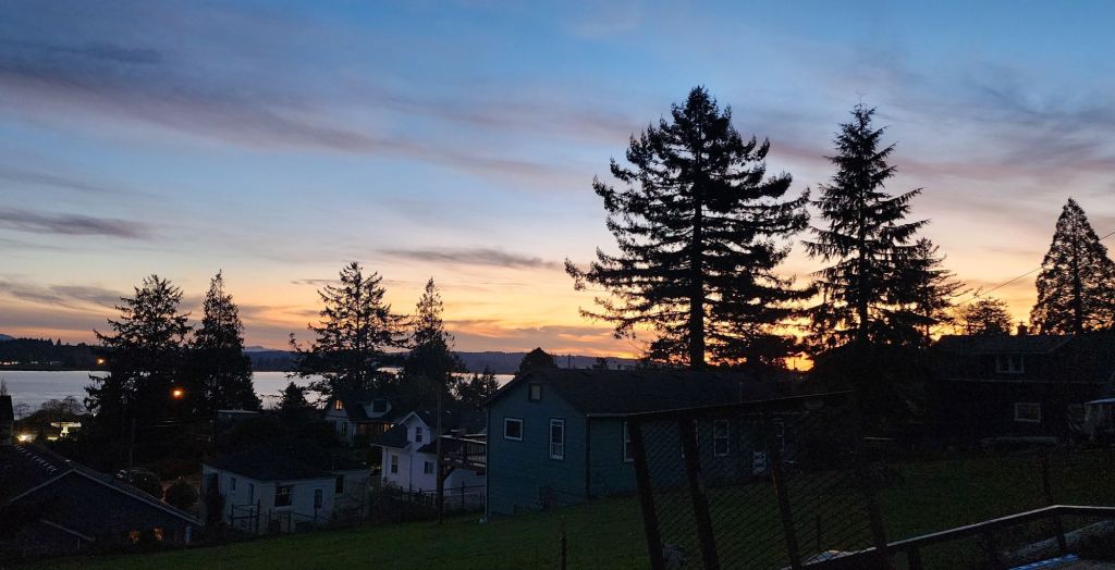 A photo of sunset in my neighborhood, with pine trees prominent in the foreground