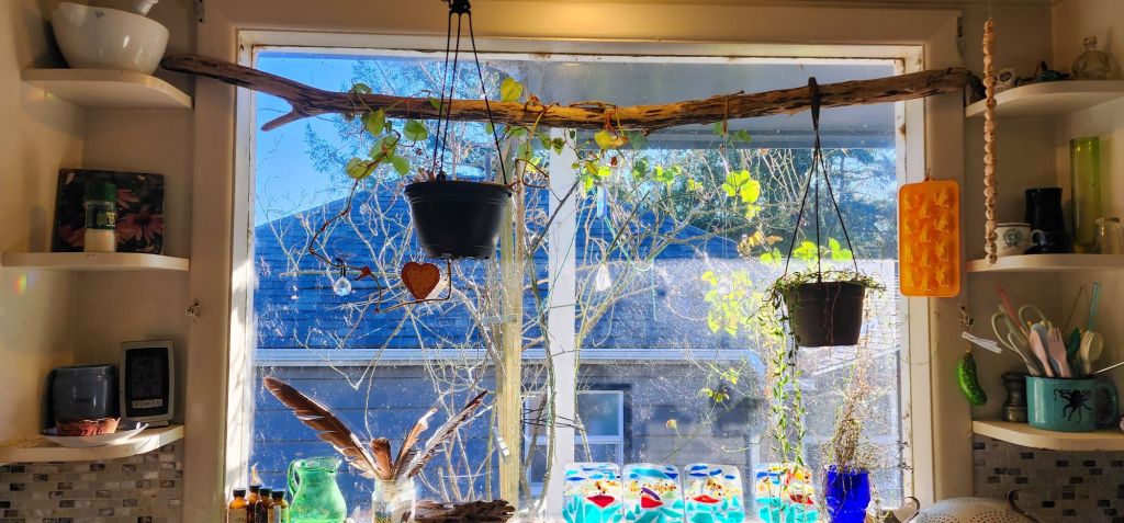 A color photo of a kitchen window with plants and a few other things, including some fused glass tiles, hanging in it.