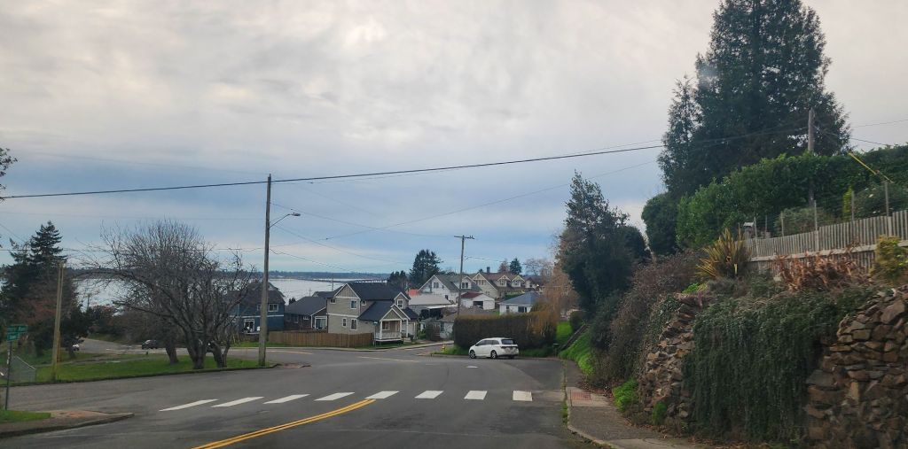 A neighborhood scene with water in the distance