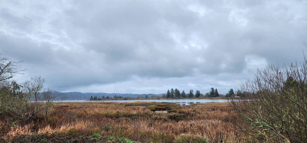 A marshy landscape with clouds and a river in the distance