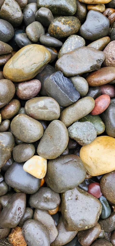 A vertical color photo of many wet stones