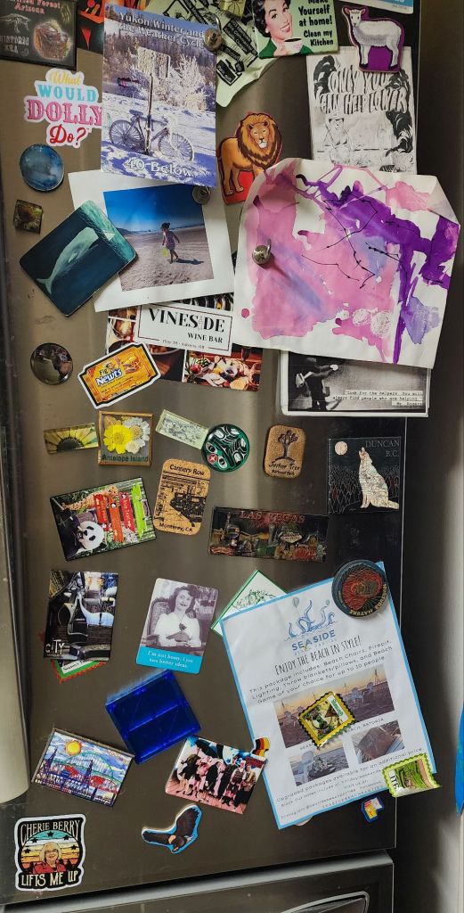 A color photo of a stainless steel refrigerator door covered with magnets from tourist attractions all over the country as well as photos and kids' art