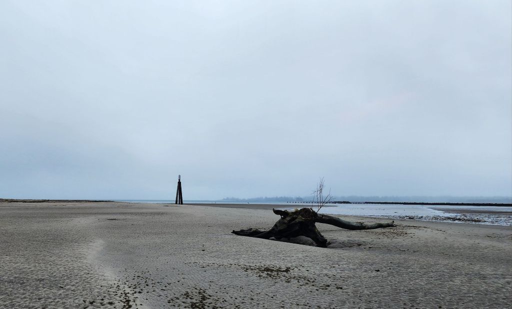 Driftwood and a buoy structure at low tide in Trestle Bay