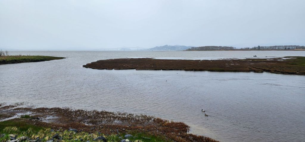 a view of the confluence of youngs bay and the columbia river on a gray spring day