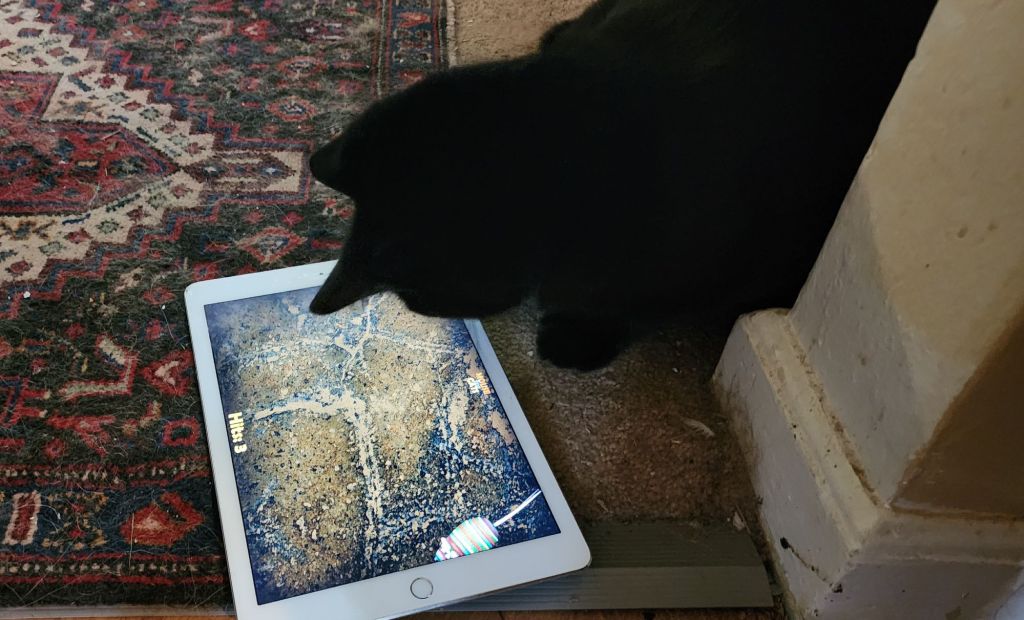 a black cat playing with an ipad on an unvacuumed rug