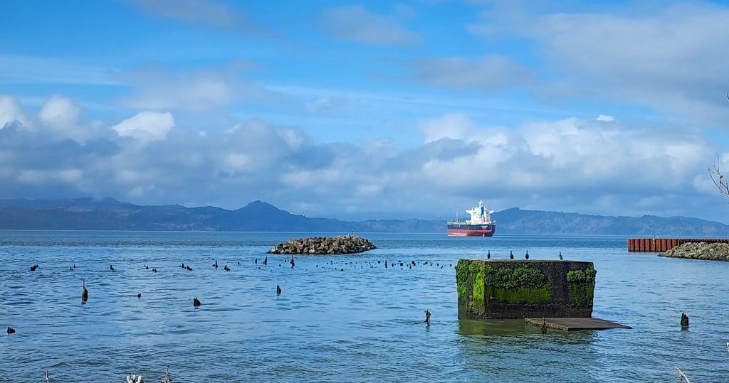 a view of the Columbia river from Astoria, with four cormorants
