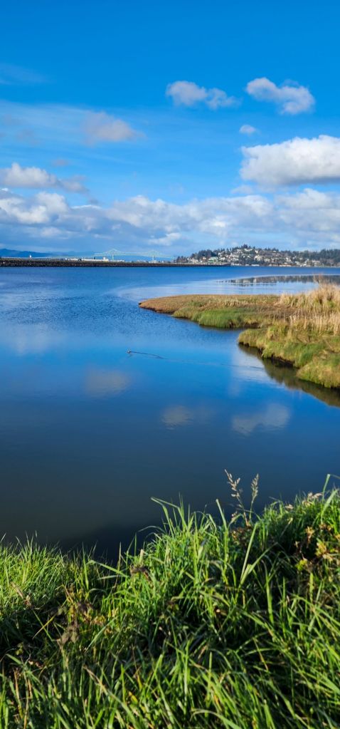 a view of Astoria from across Youngs Bay, clouds reflected in the water