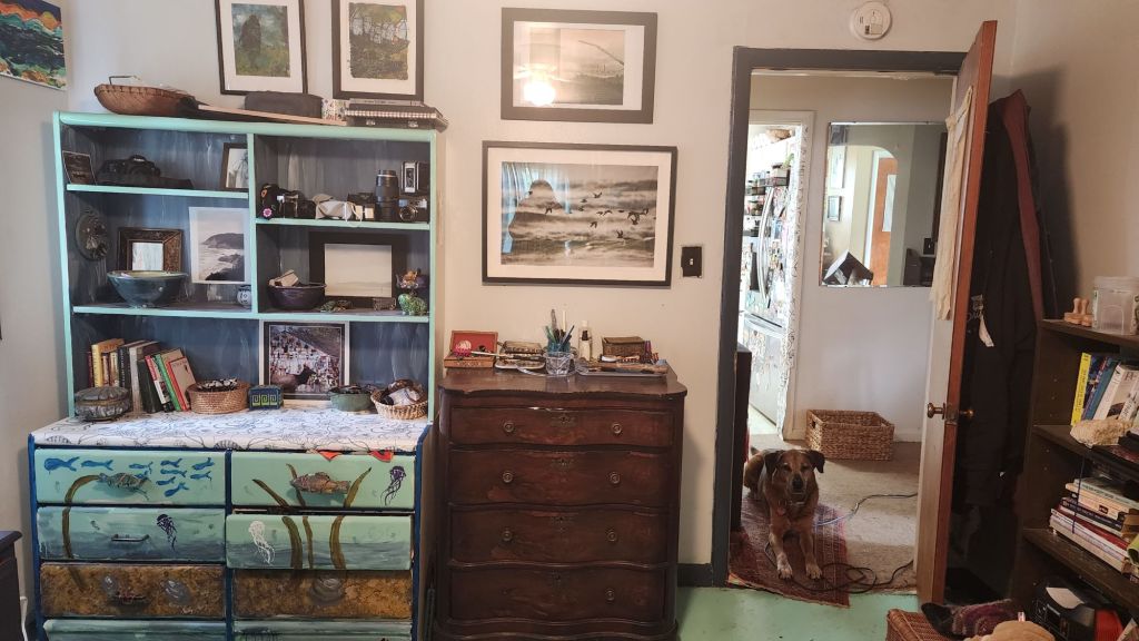 a tidy bedroom with a dog in the doorway and an extremely eccentrically painted chest of drawers. 