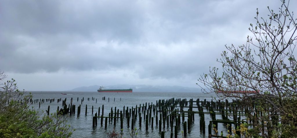 The Columbia River with pilings in the front and a green and red ship in the background